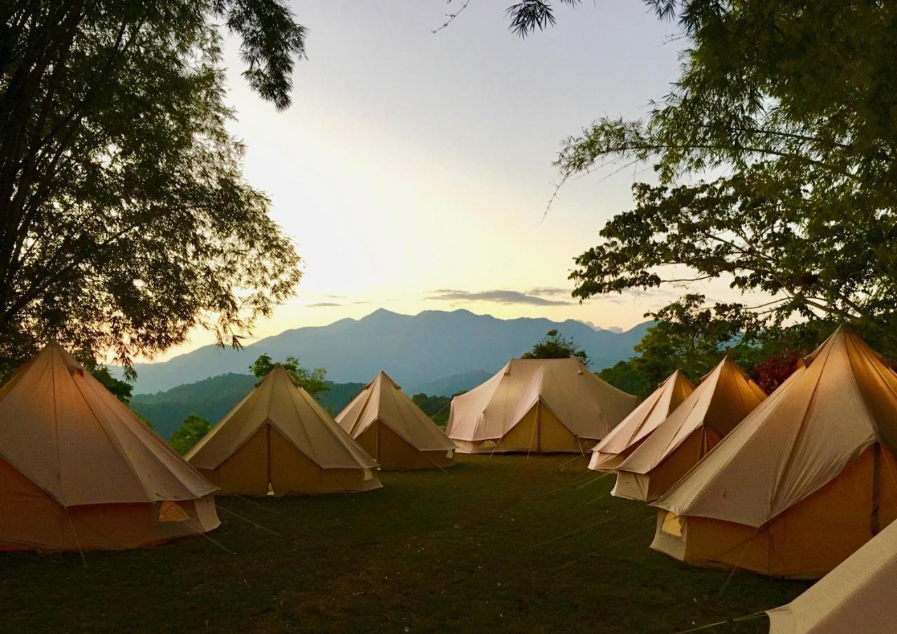 Glamping Finca Margaritas Pluma Hidalgo Buitenkant foto