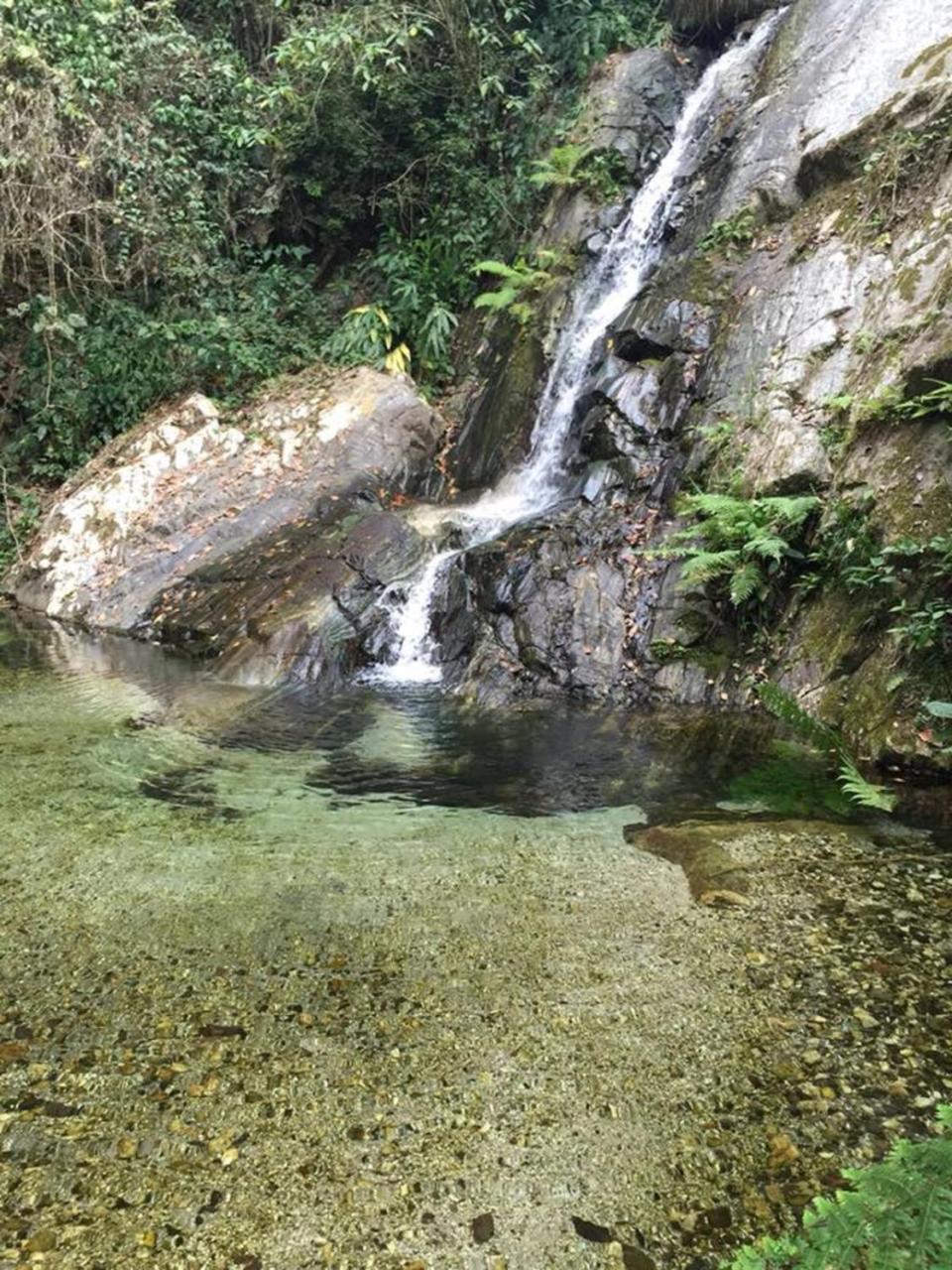 Glamping Finca Margaritas Pluma Hidalgo Buitenkant foto