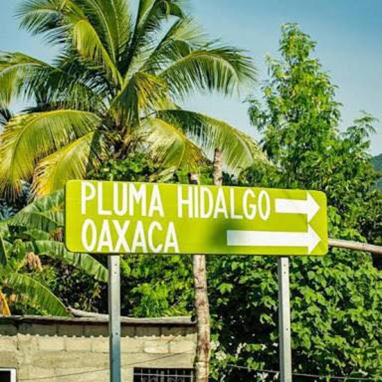 Glamping Finca Margaritas Pluma Hidalgo Buitenkant foto